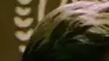 Carlos Bonavides tacha de malos actores a Julián Gil y David Zepeda