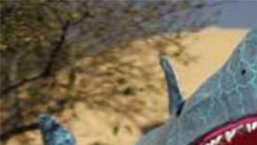 La muestra se basa en ocho especies en peligro que van desde reptiles hasta mamíferos marinos