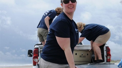 Viajan desde Massachussets hasta Florida para liberar a 14 tortugas.