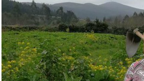 Campesina es doble de Trump