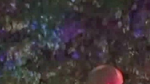 Las autoridades acordonaron la escena del crimen.