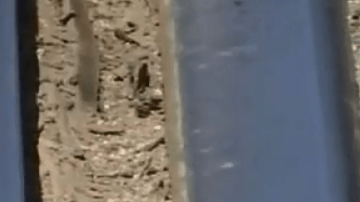 Se espera registrar al sospechoso por agresión contra un oficial de policía con un cuchillo.