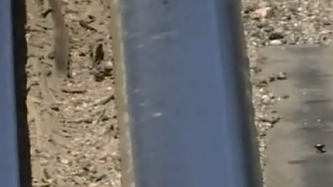 Se espera registrar al sospechoso por agresión contra un oficial de policía con un cuchillo.