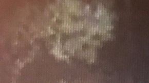 Imágenes captadas por cámaras de vigilancia muestran una camioneta con remolque llevandose la mercancía.