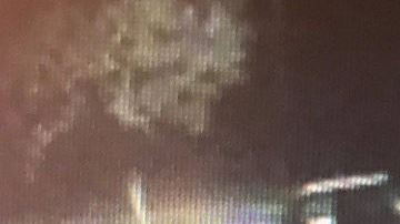 Imágenes captadas por cámaras de vigilancia muestran una camioneta con remolque llevandose la mercancía.