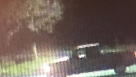 Imágenes captadas por cámaras de vigilancia muestran una camioneta con remolque llevandose la mercancía.