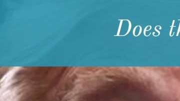 La página web sobre demanta colectiva contra Trump.