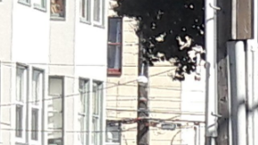 Más de 60 familias en la escuela se encuentran en una situación inestable de vivienda y muchas carecen de vivienda.