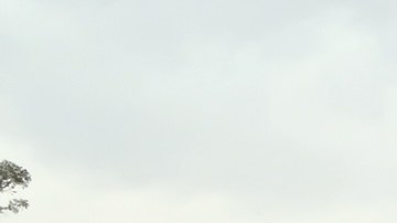 Andrés Manuel López Obrador, candidato presidencial