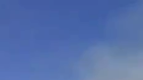 Los bomberos respondieron a los informes de un incendio forestal en Main Street, cerca de la carretera, alrededor de las 2:26 p.m.