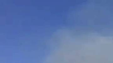 Los bomberos respondieron a los informes de un incendio forestal en Main Street, cerca de la carretera, alrededor de las 2:26 p.m.