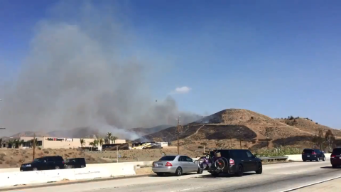 Los bomberos respondieron a los informes de un incendio forestal en Main Street, cerca de la carretera, alrededor de las 2:26 p.m.