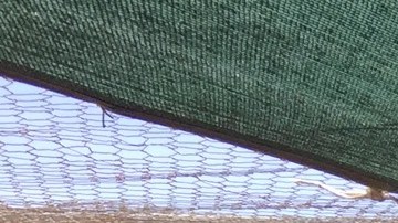 1,000 gallos fueron descubiertas el lunes mientras el LASD cumplía una orden de allanamiento en la cuadra 6300 de East Avenue E, en Lancaster.