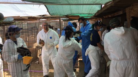 1,000 gallos fueron descubiertas el lunes mientras el LASD cumplía una orden de allanamiento en la cuadra 6300 de East Avenue E, en Lancaster.