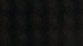 Luis Miguel le dedicó al "Canelo" Álvarez la canción "No discutamos"