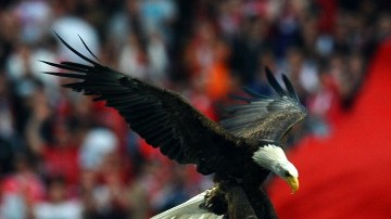 El Águila abandonó al Benfica.  PAUL ELLIS/AFP/GettyImages