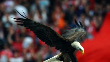 El Águila abandonó al Benfica.  PAUL ELLIS/AFP/GettyImages