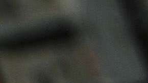 La policía busca premiar a los involucrados por su honestidad.