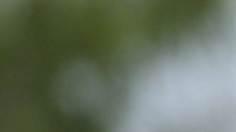 Se conoce la verdad de ciertas cifras que utiliza el gobierno para justificar su agenda migratoria