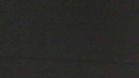 Hay visitantes de al menos 40 países a los EEUU no exige visa.