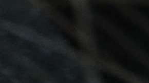 El conductor ganó primero un premio de $30 con el que compró más boletos.