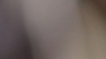 La versión del propietario del bar es distinta a la del seguidor de Trump