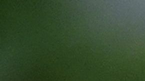 Kelly tachó de "patraña total" la información de NBC News