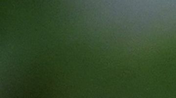 Kelly tachó de "patraña total" la información de NBC News