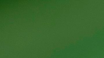 Fuentes cercanas a la primera dama aseguran que es su hijo Barron la única razón para estar con Trump