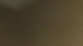 El gobierno decidió expedir 15,000 visas H-2B adicionales