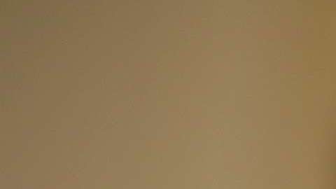 Shulkin conoció la noticia de su despido a la vez que miles de estadounidenses.