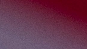 Un reporte del gobierno sobre "terrorismo" habría sido manipulado para respaldar la idea que liga inmigración con peligro para Estados Unidos (Foto: archivo)