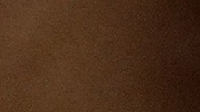 Círculo cercano de Trump debe firmar acuerdos de confidencialidad