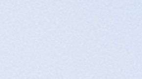 La pareja presidencial ha estado en medio de la polémica.