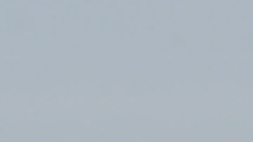 Manifestantes atacaron su custodiado Trump International Golf Club de Florida