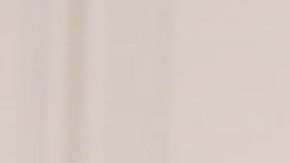 Luego de indagar se conoció que el árbol por llegar del exterior está en periodo de cuarentena