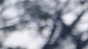 Se realizó el primero de los tres debates entre los cinco candidatos a la presidencia de México.