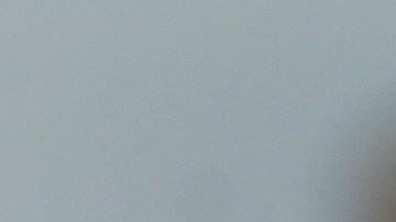 Donald Trump durante un acto en Washington Michigan.