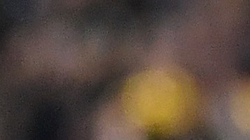 Laurent Ciman celebra el dramático triunfo del LAFC con un gol suyo.