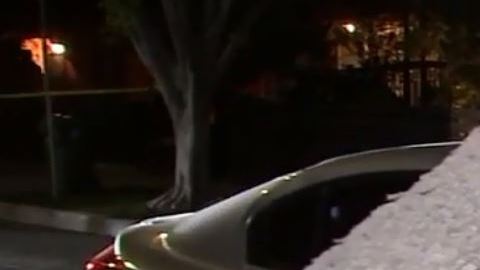 En Cypress Park, un árbol cayó encima de un auto en el que viajaban una madre y su hijo.