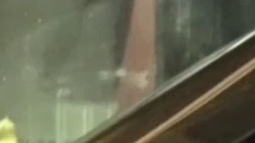 No queda claro si los hermanos fueron alcanzados por disparos o por cristales de la destrozada ventanilla.