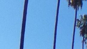 La víctima fue atacado en un baño del parque.