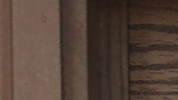 También prohíbe a empleados públicos indagar sobre el estatus migratorio de las personas