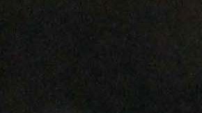 Las Chivas de Guadalajara reciben a los Tiburones Rojos del Veracruz, en duelo de la fecha 14