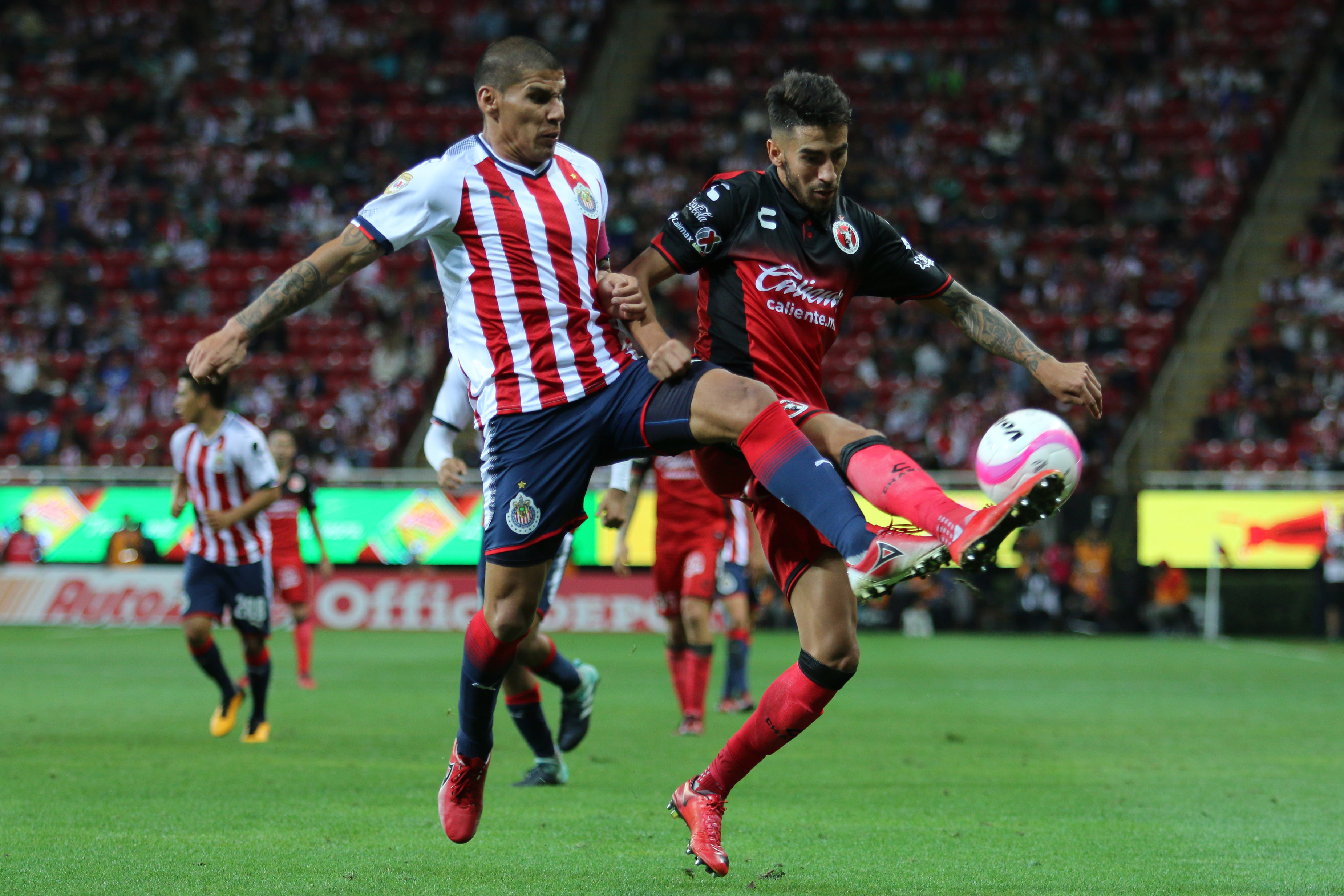 Liga MX, fecha 15: Xolos Tijuana vs. Chivas, horario y ...