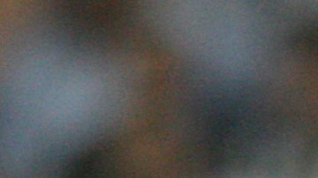 América recibe a Monterrey en duelo de la fecha 15 del Clausura 2018