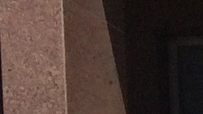 Grupo de inquilinos realizando actividades en apoyo a la  ley de control de rentas en el condado de Los Ángeles. (Archivo.)