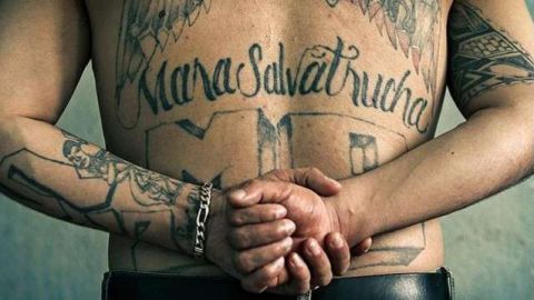 El prisionero se contactó con miembros de la Mara Salvatrucha en Nueva Jersey.