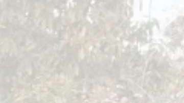 El caso ocurrió en California.