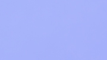 Maxine Waters, demócrata, ha criticado duramente al presidente Trump.